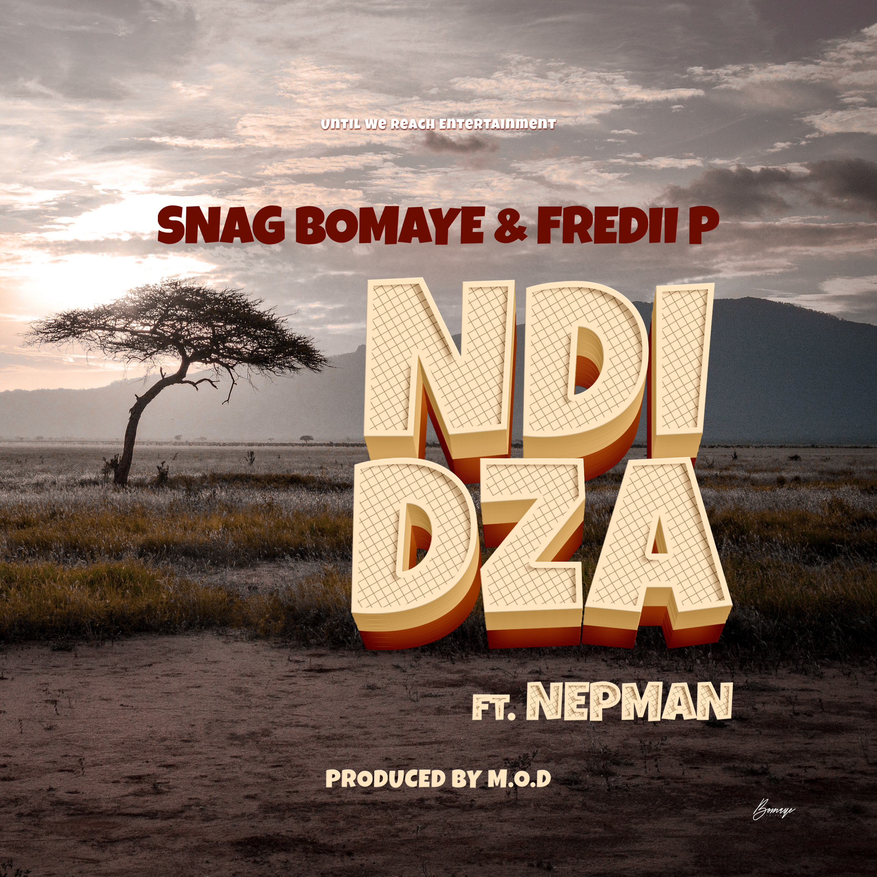 Ndidza